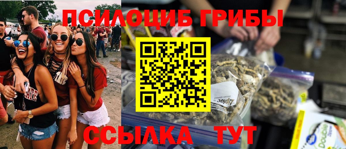 Псилоцибиновые грибы Cubensis Черкесск