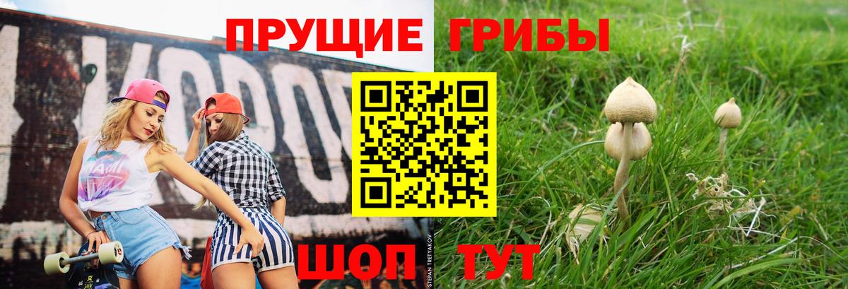 Галлюциногенные грибы мицелий  Вход с VPN  купить закладку  Черкесск  Галлюциногенные грибы ЛСД 